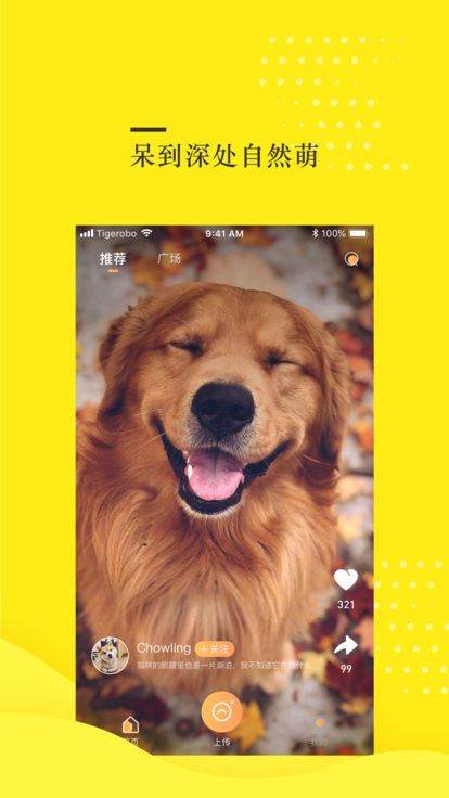 蛋挞视频app官方手机版图片2