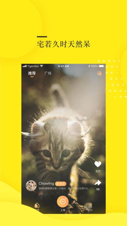 蛋挞视频app官方手机版图片3
