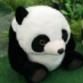 大熊猫认脸 v1.0