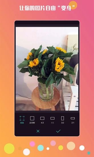 神手自拍app安卓最新版下载图片4