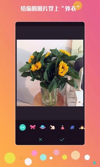 神手自拍app安卓最新版下载图片2