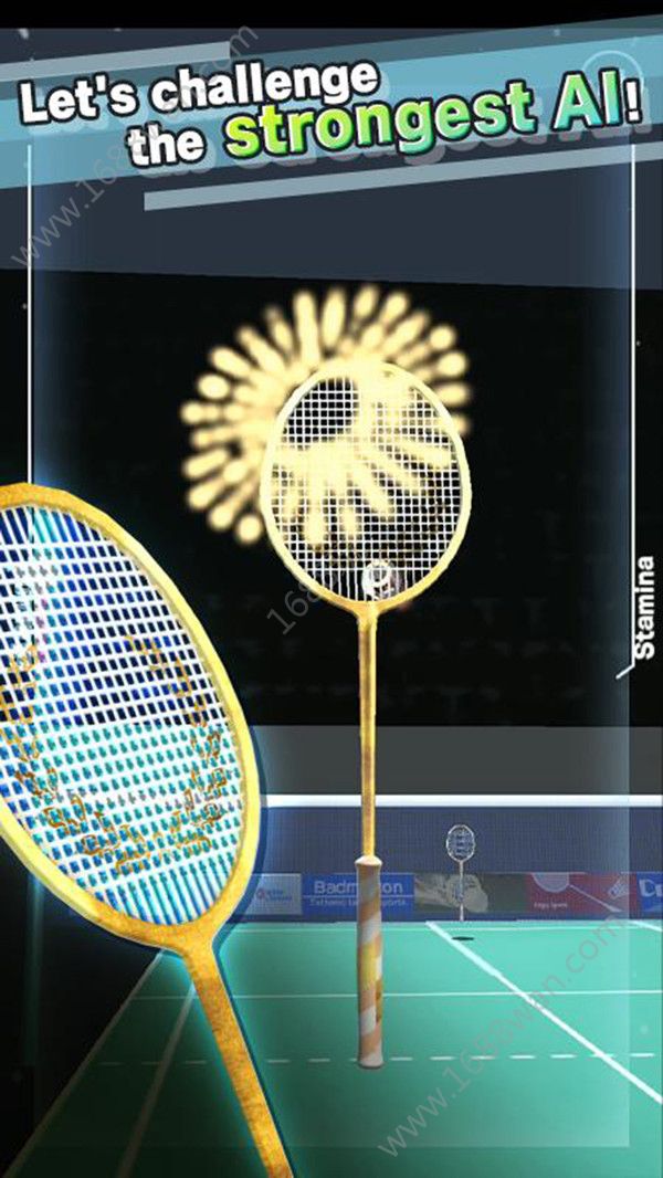 真人羽毛球3D游戏安卓版下载图片1