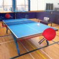 Table Tennis Touch v3.0.0918