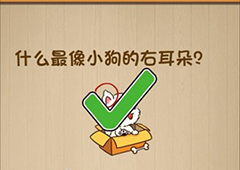 神脑洞第62关怎么玩 什么最像小狗的右耳朵关卡攻略
