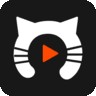 观复猫直播app