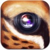 野兽相机app