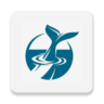 鲸鱼影视软件 1.1 安卓版