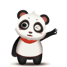 熊猫视界软件 0.0.13 最新版