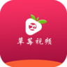 草莓小视频 10.5.0 安卓版