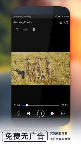 流行视频播放器软件 1.0.0 安卓版