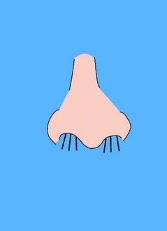 恋爱测量仪22关拔鼻毛怎么打