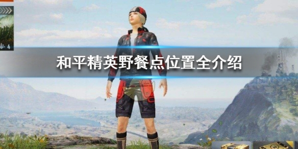 和平精英野餐点位置在哪