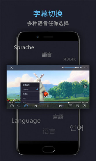 麻花播放器app