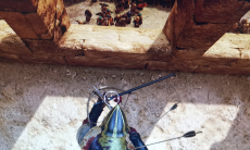 骑马与砍杀2一个人怎么攻城_单人攻城方法介绍和分享