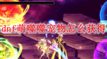 dnf萌噬噬宠物怎么获得_萌噬噬宠物获取方法介绍