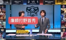 王者荣耀刺客野和坦克野玩法怎么分享_刺客野和坦克野的玩法区别