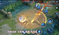 王者荣耀王昭君落雁背景故事简述_王昭君落雁皮肤背景故事