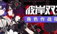 崩坏3彼岸双生圣痕搭配推荐_双生圣痕怎么搭配