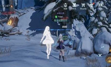 龙族幻想松露位置介绍_松露在哪里