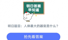 人体最大的器官是什么_为什么皮肤是人体最大的器官