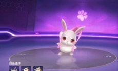 跑跑卡丁车手游宠物升级的作用及升级方法_跑跑卡丁车手游宠物升级的作用及升级方法介绍