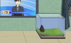 垃圾是一定要分类的第3关攻略_第3关怎么过