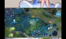 王者荣耀阿古朵是打野吗_阿古朵可以打辅助吗