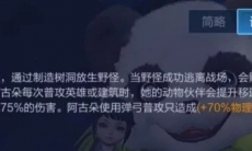 王者荣耀阿古朵技能详解_阿古朵怎么出装和配铭文