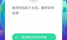 被烫伤后起了水泡最好如何处理_支付宝蚂蚁庄园小课堂8月11日答案分享