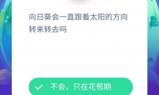 向日葵会一直跟着太阳的方向转来转去吗_蚂蚁庄园小课堂8月18日答案分析