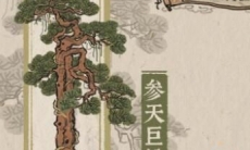 江南百景图参天巨松怎么换_江南百景图参天巨松多少积分