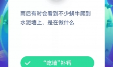 雨后有时会看到不少蜗牛爬到水泥墙上是在做什么_蚂蚁庄园小课堂8月22日答案分析