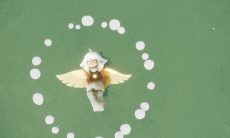 光遇蘑菇圈什么时候出现_光遇蘑菇圈刷新位置