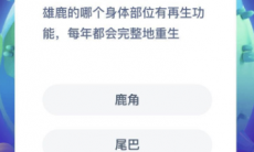 鹿的哪个身体部位每年都会再生_蚂蚁庄园小课堂8月21日答案分析