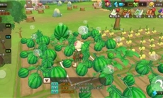 悠长假期西瓜怎么获得_悠长假期西瓜在哪里