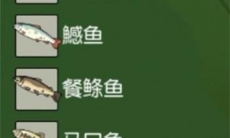 小森生活鱼在哪里_小森生活鱼类位置一览