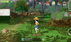 小森生活天气有什么用_小森生活天气介绍