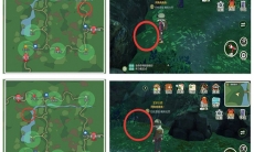 小森生活稀有虫点在哪_小森生活稀有虫点分布位置