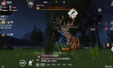 妄想山海宠物怎么捕捉_宠物捕捉方法介绍