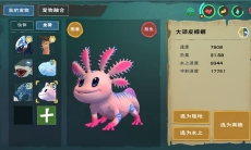 创造与魔法蝾螈饲料保底多少_蝾螈饲料保底数量介绍