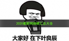 2020有哪些网络热梗_2020最新网络梗汇总