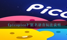 picopico匿名语音怎么玩-匿名语音玩法说明