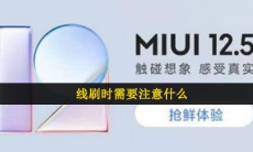 线刷时需要注意什么-小米MIUI12.5内测申请答题答案