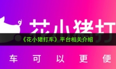 花小猪打车是哪家公司的平台_平台相关介绍