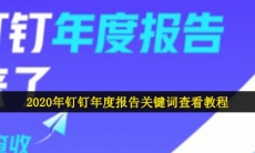 2020钉钉年度报告关键词在哪里看-钉钉年度报告关键词查看教程