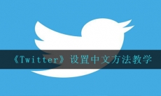 Twitter怎么设置中文-设置中文方法教学