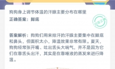 狗狗身上调节体温的汗腺主要分布在哪里_2020年7月21号蚂蚁庄园问答