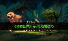 动物世界怎么玩_app抢动物技巧