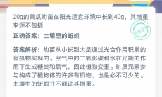 20g黄瓜幼苗在阳光适宜环境中长到40g增重来源不包括_支付宝蚂蚁庄园小课堂7月8日答案是什么