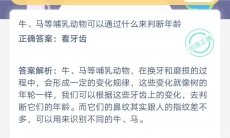 牛马等哺乳动物可以通过什么来判断年龄_支付宝蚂蚁庄园小课堂6月29日答案是什么